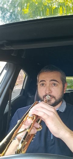Who have ever played trumpet pedals tones in a car ?