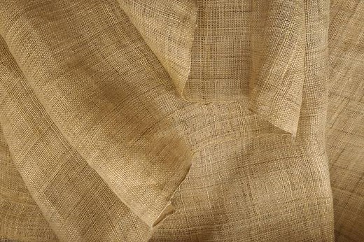 What Is Ramie Fabric? (Uses, Advantages, Helpful Guide)