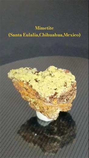 🇲🇽Mimetite(Santa Eulalia,Chihuahua,Mexico) ミメタイト(メキシコ チワワ州 サンタ・エウラリア) #minerals #鉱物 #shorts