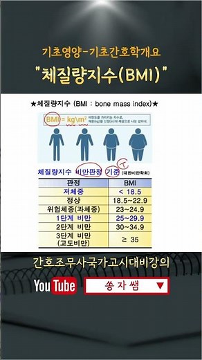 Body Mass Index (BMI)