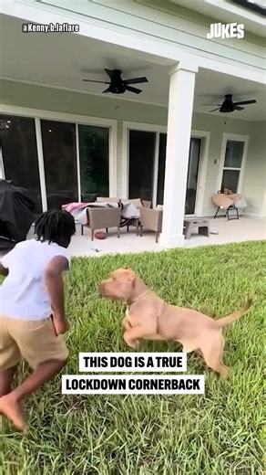 Which NFL team needs this pup? 🤔 | Jukes