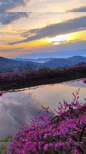 Beautiful flowers in beautiful places 🤩#shorts
