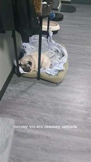 Круговорот лежанок