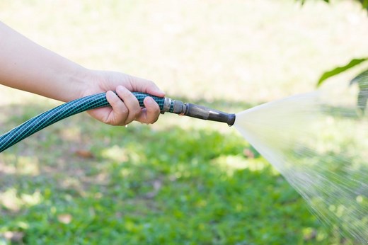 Should You Water Lawn After Applying Fungicide?