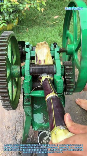 伝統的なサトウキビ搾汁の技：機械的利点を活かした新鮮な果汁の抽出