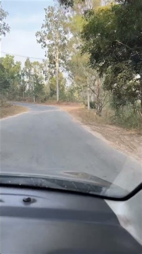 CKM morning view ❤️ #shortsviral