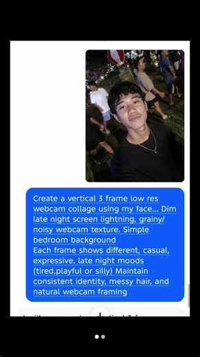 Creating a Three-Frame Webcam Collage