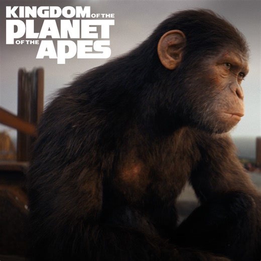 33K views · 558 reactions | It is time. Own Kingdom of the Planet of the Apes on Blu-ray, DVD and 4K UHD™ including the special Collector’s Limited Edition SteelBook®. 4K UHD editions include exclusive alternative version, Inside the Lens: The Raw Cut. Buy it now: planetoftheapes.com | Planet of the Apes | Facebook
