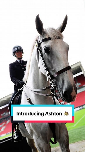 Ashton Gate Stadium on TikTok