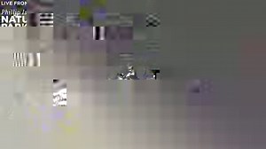 155K views · 4.2K reactions | Love reality TV? How about watching Victoria's famous penguin parade as it happens?  Phillip Island Nature Parks will be live-streaming the event from tomorrow night, giving people the chance to watch thousands of penguins waddle up the beach to their burrows. And we're heading towards spring, so there'll be lots of little penguin chicks! Here's a sneak peek. Tell us if you'd tune in. | ABC Melbourne | Facebook