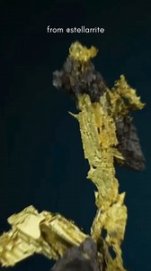 Native Gold Crystal from Placerville, California #gold #rareminerals #nativegold #crystallized #arsenic #placerville #fineminerals #california #northerncalifornia #mineralcollector #crystals #mineralcollector #museum #mineralspecimen | Goldbay Private Reserve