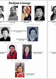 Dudjom Lineage #followers #highlights #TopFans #follower #Rinpoche #buddhism #buddha #buddhistphilosophy | Thoughts from common subject