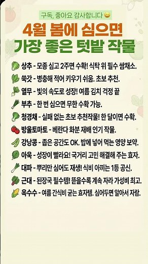 4월 봄에 심으면 가장 좋은 텃밭 작물 #4월텃밭 #봄텃밭 #텃밭 #텃밭작물 #주말농장 #베란다텃밭 #채소키우기 #상추키우기 #방울토마토키우기 #대파키우기 #초보텃밭