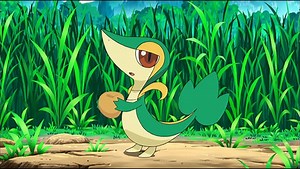 Pokemon GO: How to Get Shiny Snivy