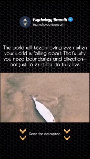 When Life Falls Apart, Direction Keeps You Standing