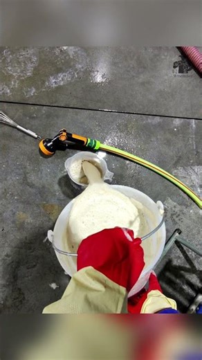 Adding some clarifying agents to the wine must #shorts