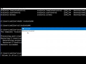 4 PC Install and Run Avalonia