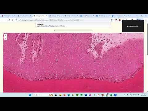 Unit 1 Midpoint Review - Recorded 09-17-25