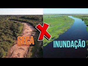 De seca à inundação: Pantanal renasce após 4 anos de estiagem