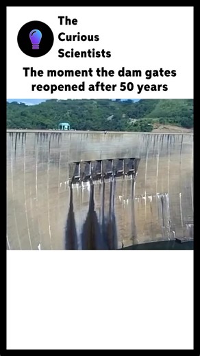 Science | Interesting | How it works on Instagram: "After 50 years of still waters, the gates of this historic dam have finally swung open, and the river is flowing again! 🌊✨ This isn’t just a moment frozen in time—it’s a major environmental and community milestone. Reopening the dam helps restore natural habitats, revive fish populations, and improve water quality, giving new life to ecosystems that have been waiting decades for this moment. For local communities, it’s a symbol of renewal and