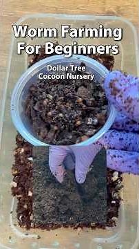 Worm Farming For Beginners | Dollar Tree Cocoon Nursery #vermicomposting #wormcomposting