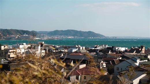 Postcard from Japan 🇯🇵 #japan #tokyo #travel