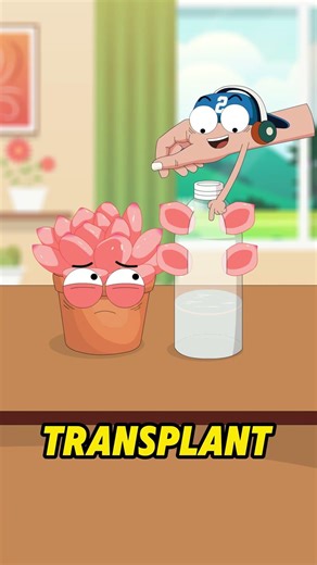 Why can succulents reproduce indefinitely?#shorts
