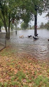 1.4M views · 41K reactions | Sometimes you've got to look on the bright side.  Thanks to Kirsten Lee for sharing this video from Seagoville. STORY: https://bit.ly/3pyXXoQ | WFAA | Facebook