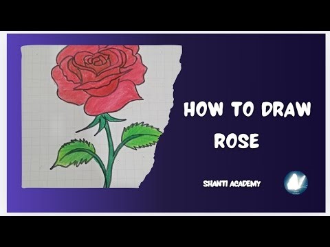 How to Draw a Rose Step by Step | Easy Drawing for Beginners। Shanti Aesthetic