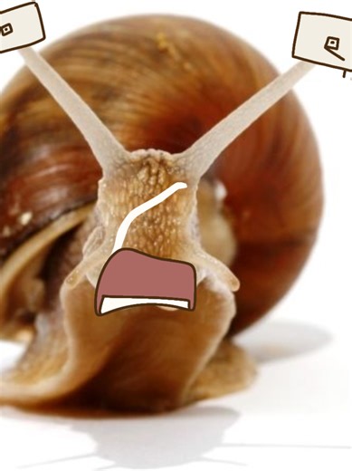 Cassie Rose: La Misteriosa Antagonista de MCSM