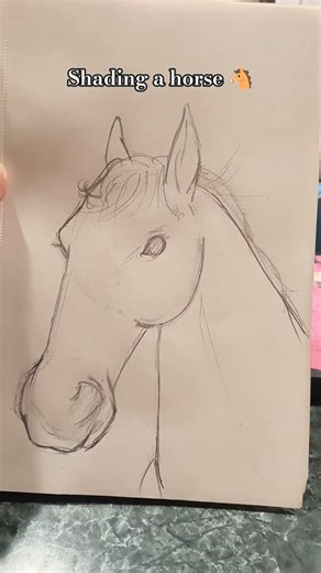 shading a horse #drawing #pencil #shading #art #horse