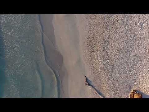 Introduction To Glucotrust: The Ultimate Blood Sugar Support