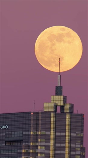 今年初めての満月 ウルフムーン 2026/01/03 #fullmoon #wolfmoon #満月 #ウルフムーン #lumix #東京 #tokyo #風景 #moon #landscape