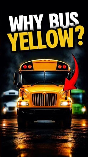 Which of these buses would you choose to take you to school every day?