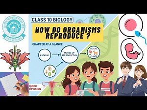How Do Organisms Reproduce? | Chapter at a Glance ( Quick Revision) I Class 10 Science #science