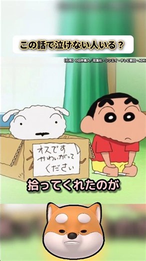 [Can anyone watch this and not cry?] [Shiro 13 years later] [Shiro's final moments] [Crayon Shin-...