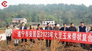 高质量发展调研行⑩丨遂宁安居区：如何以粮为“安”，以业定“居”？ | 每经网