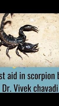 "Scorpion Sting First Aid: Quick Steps for Immediate Relief! 🦂🚑" #scorpionbite