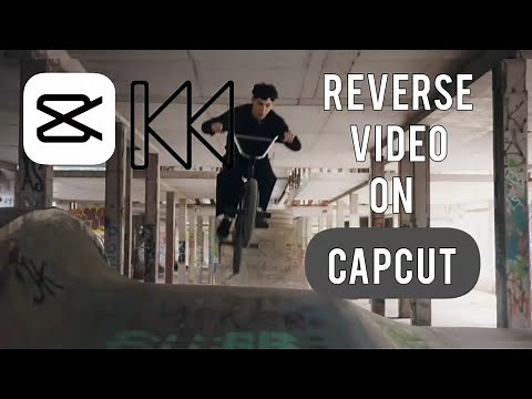 How To Reverse Video on Capcut (Capcut Tutorial)