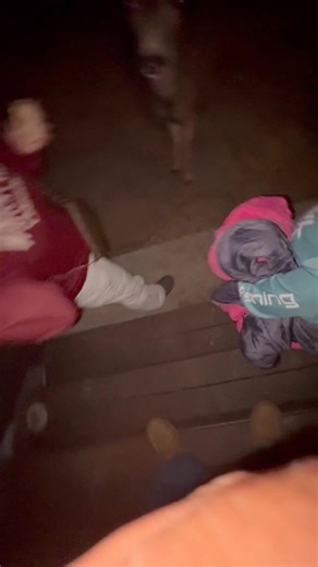 Who can say that they have SHARED a piece of a burger with a mule deer before???? 😁 Yeah, I’m not your ordinary 😅🤩🤗 I love to live on the edge. #yolo #muledeer #wildlife #livingontheedge #viral #angelfirenewmexico #vacation #familytrip #travel #travelwithme | Ruby Hernandez