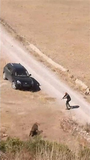 Охота на кабанаРеальный момент в лесу#shorts#охота #кабан #дикаяприрода #boarhunting#wildboar#viral