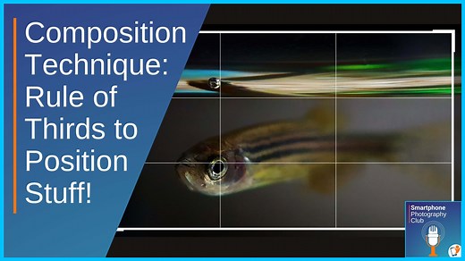 Rule of thirds - grid lines on the iPhone and Android smartphone explained — Smartphone Photography Training