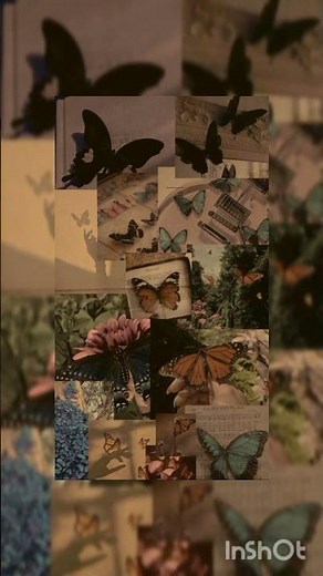 Butterfly aesthetic wallpaper 🦋