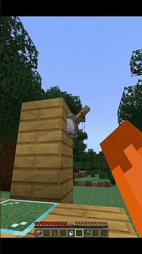 Minecraft X-Ray Block #minecraft #shorts