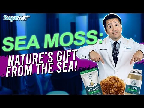 Sea Moss: An Amazing Superfood For Everyone!
