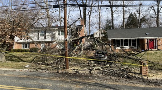 Tree falls on Montgomery County house, car