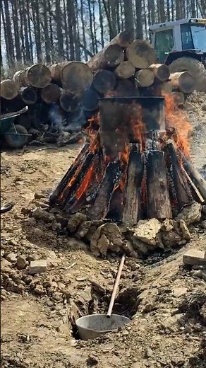 Pine tar fail! #fatwood #sustainability #homestead