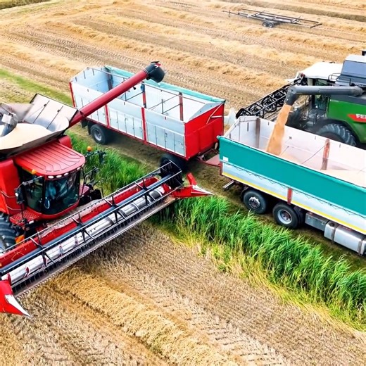 Time to unload the combine harvester into the trailer | Big Machines