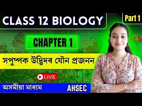 Class 12 Biology in Assamese Medium |Sexual Reproduction in Flowering Plants|Let's Approach| Part 01