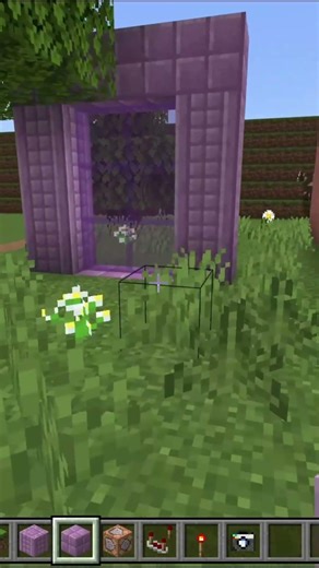 #shorts #minecraft #minecraftbedrock #comandos #portales